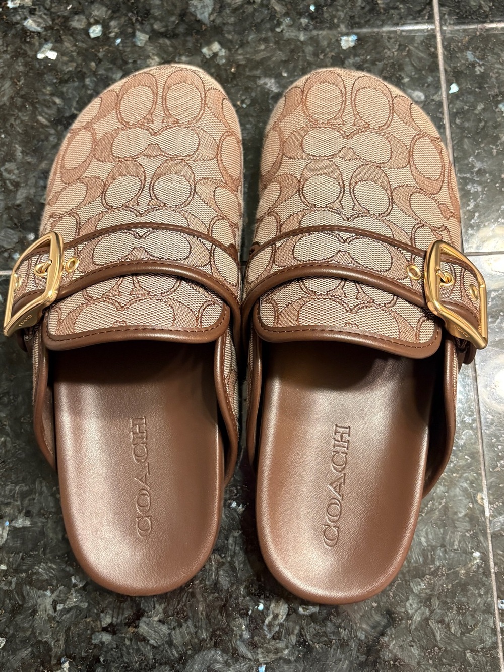Archival Buckle Clog
In Signature Jacquard